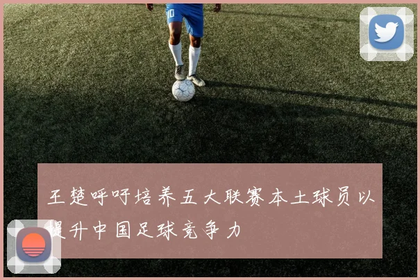 王楚呼吁培养五大联赛本土球员以提升中国足球竞争力